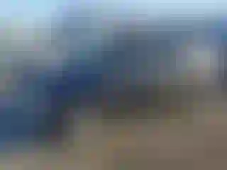 Vehicle Image- 2007 Dodge Caravan