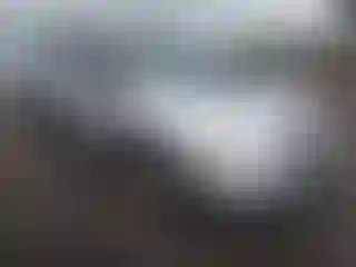 Vehicle Image- 2007 Dodge Caravan
