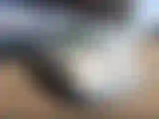 Vehicle Image- 2005 Dodge Caravan