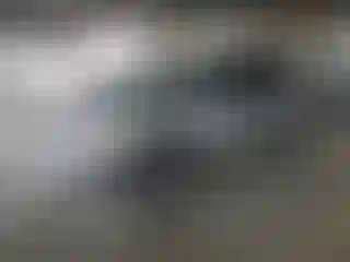 Vehicle Image- 2007 Dodge Caravan