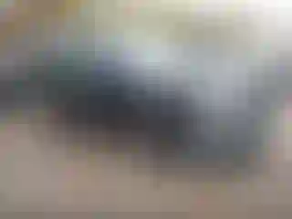 Vehicle Image- 2006 Dodge Caravan