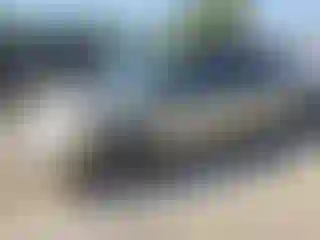 Vehicle Image- 2003 Dodge Caravan