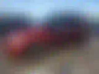 Vehicle Image- 2003 Dodge Caravan