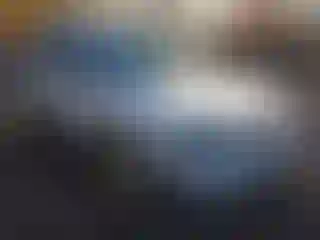 Vehicle Image- 2005 Dodge Caravan