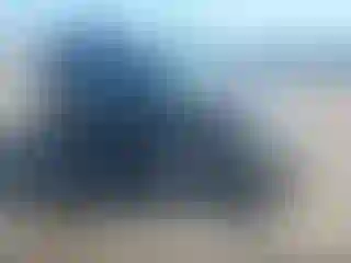 Vehicle Image- 2005 Dodge Caravan