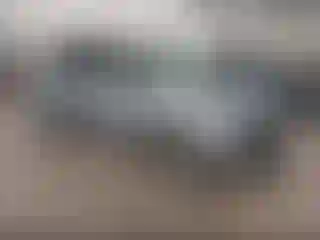 Vehicle Image- 2006 Dodge Caravan