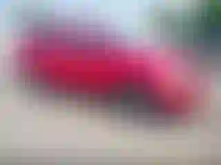 Vehicle Image- 2004 Dodge Durango