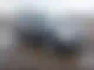 Vehicle Image- 2004 Dodge Durango