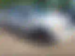 Vehicle Image- 2005 Dodge Durango