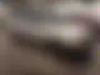 Vehicle Image- 2004 Dodge Durango