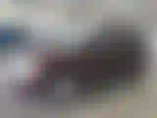 Vehicle Image- 2004 Dodge Durango