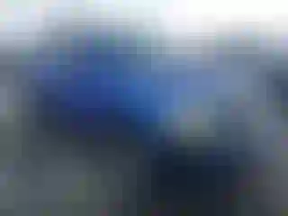 Vehicle Image- 2005 Dodge Durango