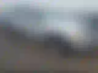Vehicle Image- 2004 Dodge Durango