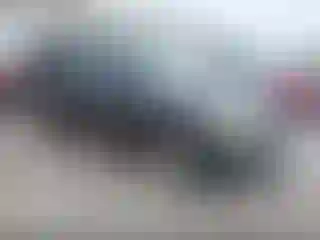Vehicle Image- 2004 Dodge Durango