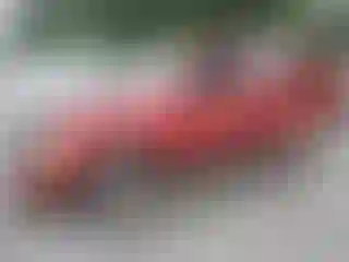 Vehicle Image- 2006 Dodge Durango