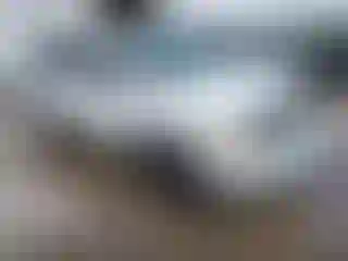 Vehicle Image- 2005 Dodge Durango