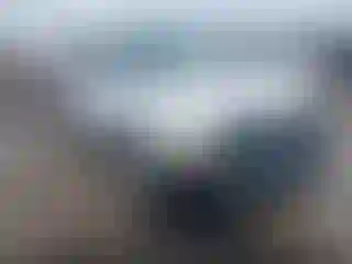 Vehicle Image- 2004 Dodge Durango