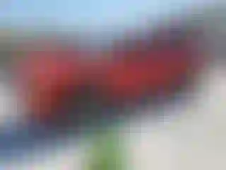 Vehicle Image- 2003 Dodge Durango