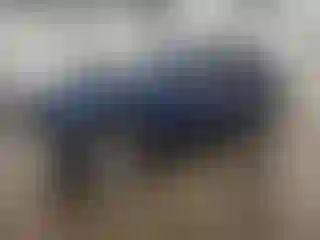 Vehicle Image- 2003 Dodge Durango