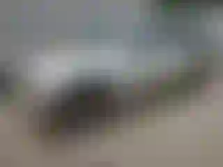 Vehicle Image- 2003 Dodge Durango