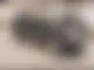 Vehicle Image- 2011 Dodge Durango