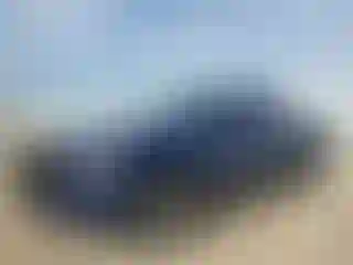 Vehicle Image- 2010 Dodge Dakota