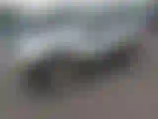 Vehicle Image- 2003 Dodge Dakota