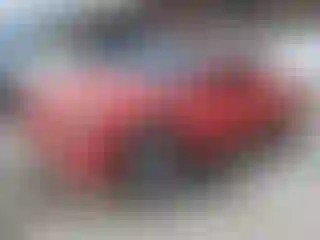 Vehicle Image- 2004 Dodge Dakota
