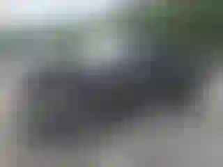 Vehicle Image- 2007 Dodge RAM 1500