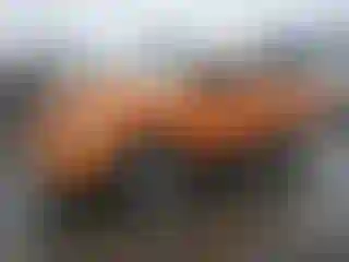 Vehicle Image- 2005 Dodge RAM 1500