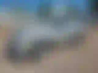 Vehicle Image- 2002 Dodge RAM 1500