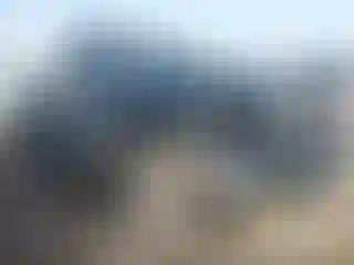 Vehicle Image- 2004 Dodge RAM 1500