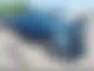 Vehicle Image- 2005 Dodge RAM 1500