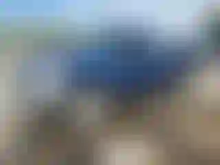 Vehicle Image- 2008 Dodge RAM 1500
