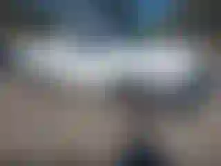 Vehicle Image- 2008 Dodge RAM 1500