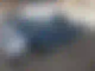 Vehicle Image- 2005 Dodge RAM 1500