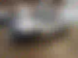 Vehicle Image- 2004 Dodge RAM 1500
