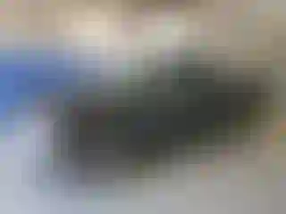 Vehicle Image- 2004 Dodge RAM 1500