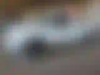 Vehicle Image- 2005 Dodge RAM 1500