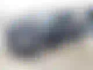 Vehicle Image- 2005 Dodge RAM 1500