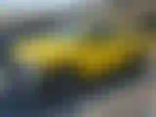 Vehicle Image- 2007 Dodge RAM 1500