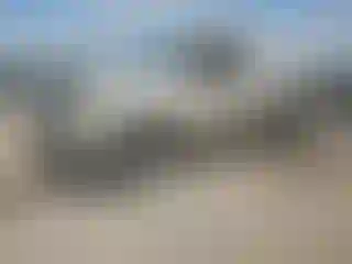 Vehicle Image- 2003 Dodge RAM 1500