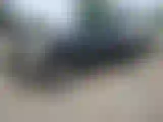 Vehicle Image- 2006 Dodge RAM 1500