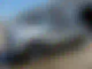 Vehicle Image- 2008 Dodge RAM 1500