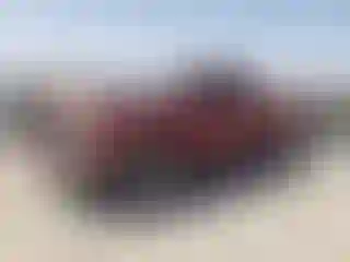 Vehicle Image- 2006 Dodge RAM 1500