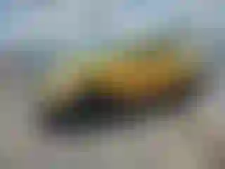 Vehicle Image- 2007 Dodge RAM 1500