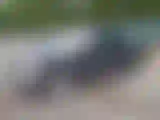 Vehicle Image- 2005 Dodge RAM 1500