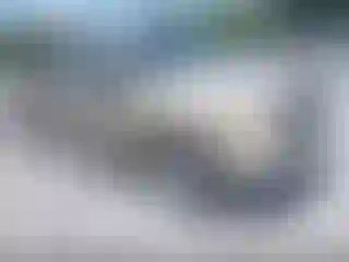 Vehicle Image- 2003 Dodge RAM 1500