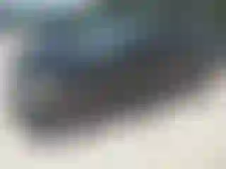 Vehicle Image- 2004 Dodge RAM 1500