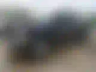Vehicle Image- 2004 Dodge RAM 1500